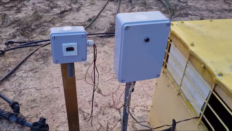 Plantation irrigation